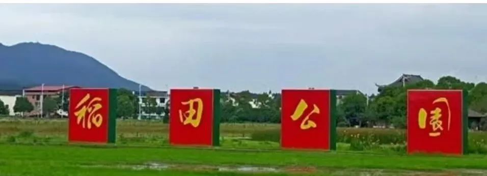 时代性意义,时代性的特点