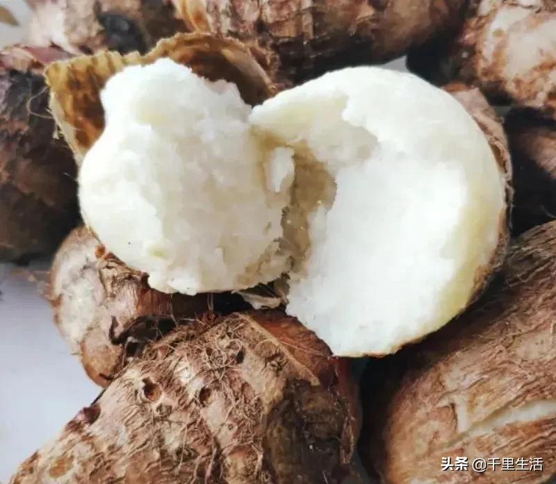 云南高山新鲜奶油芋头,云南奶油芋头做法大全