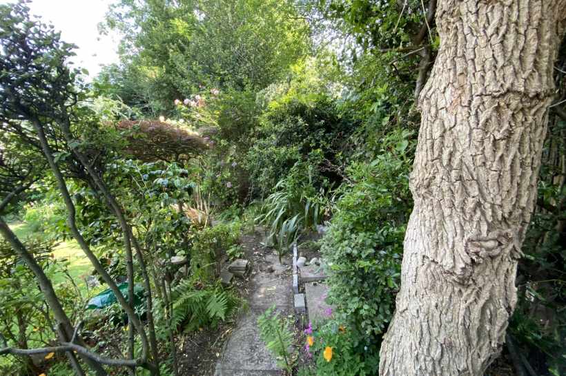 被当地政府指控“偷了”自家花园？他无奈告上法庭，赢得3万英镑