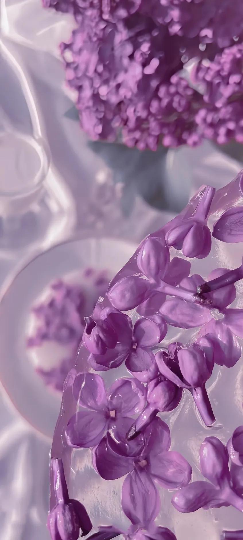 紫色异域风情古风,情调紫色