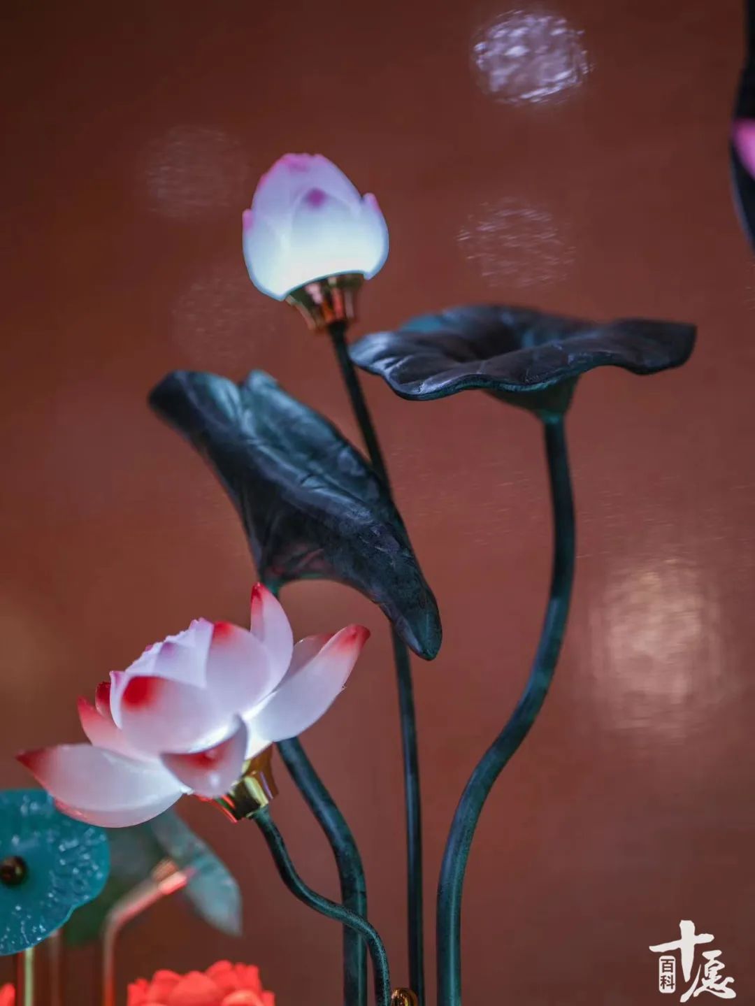 佛教常用100个名词,金刚经涉及的佛教名词解释