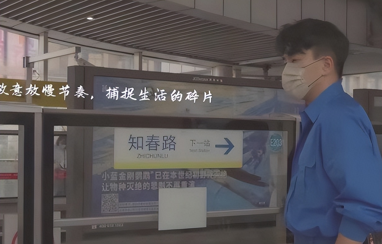 最惨前夫刘恺威：夜光剧本声名尽毁，蹭前妻热度重回内娱无人识