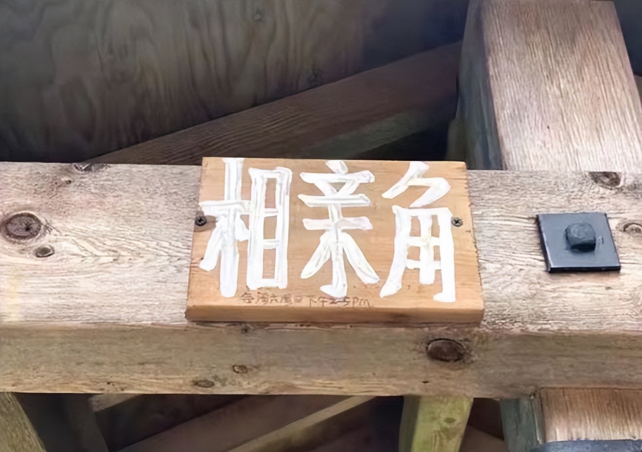 把相亲角搬到海外，不愧是咱爸妈