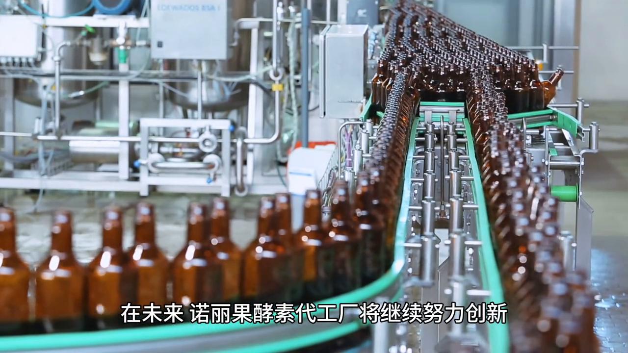 诺丽酵素代工,诺丽果酵素贴牌