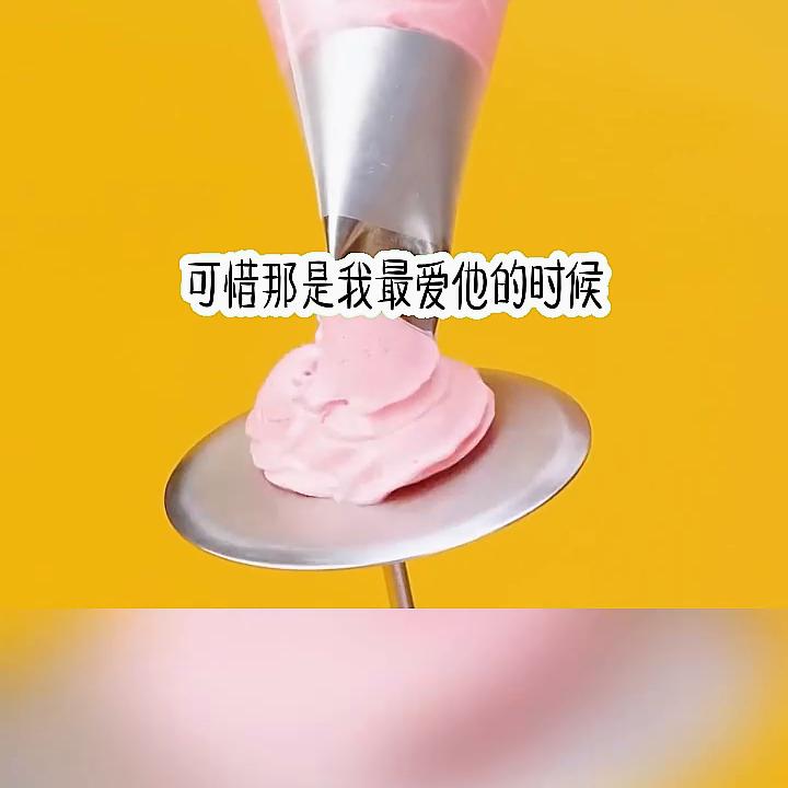 追寻有风,有风追寻小说