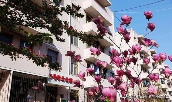 怀旧学校食堂,曾经学校食堂记忆