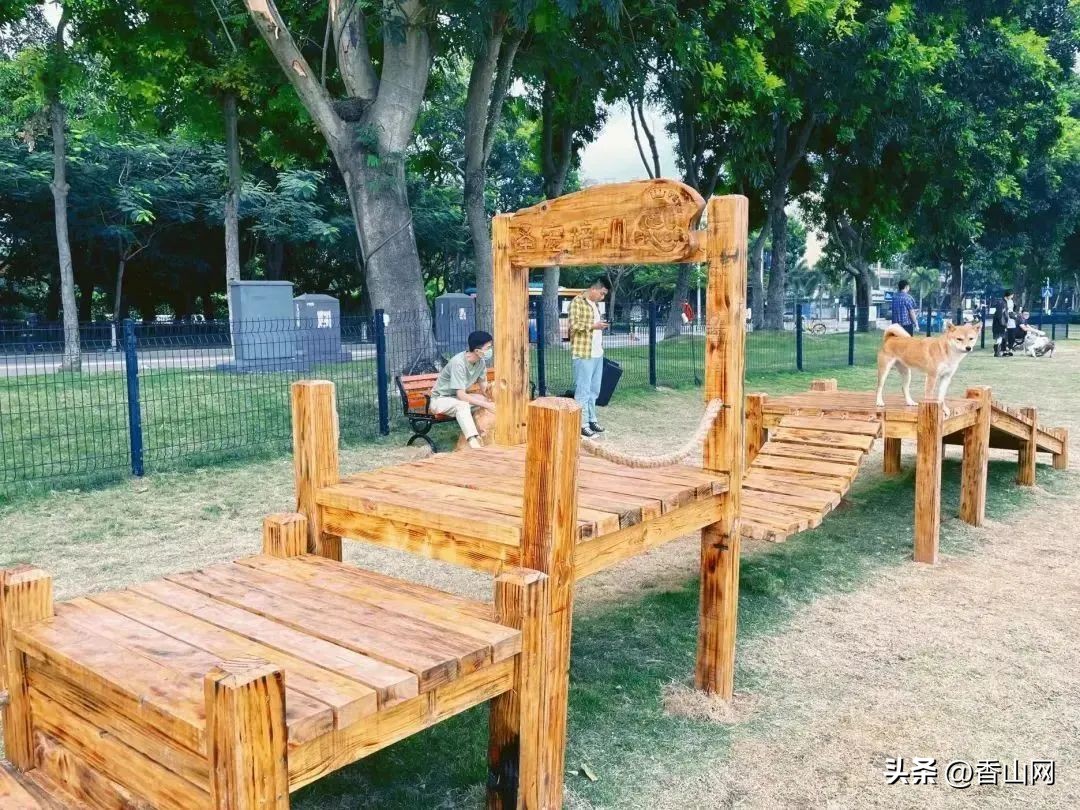 珠海遛狗有市场吗,珠海有哪些地方可以遛狗啊