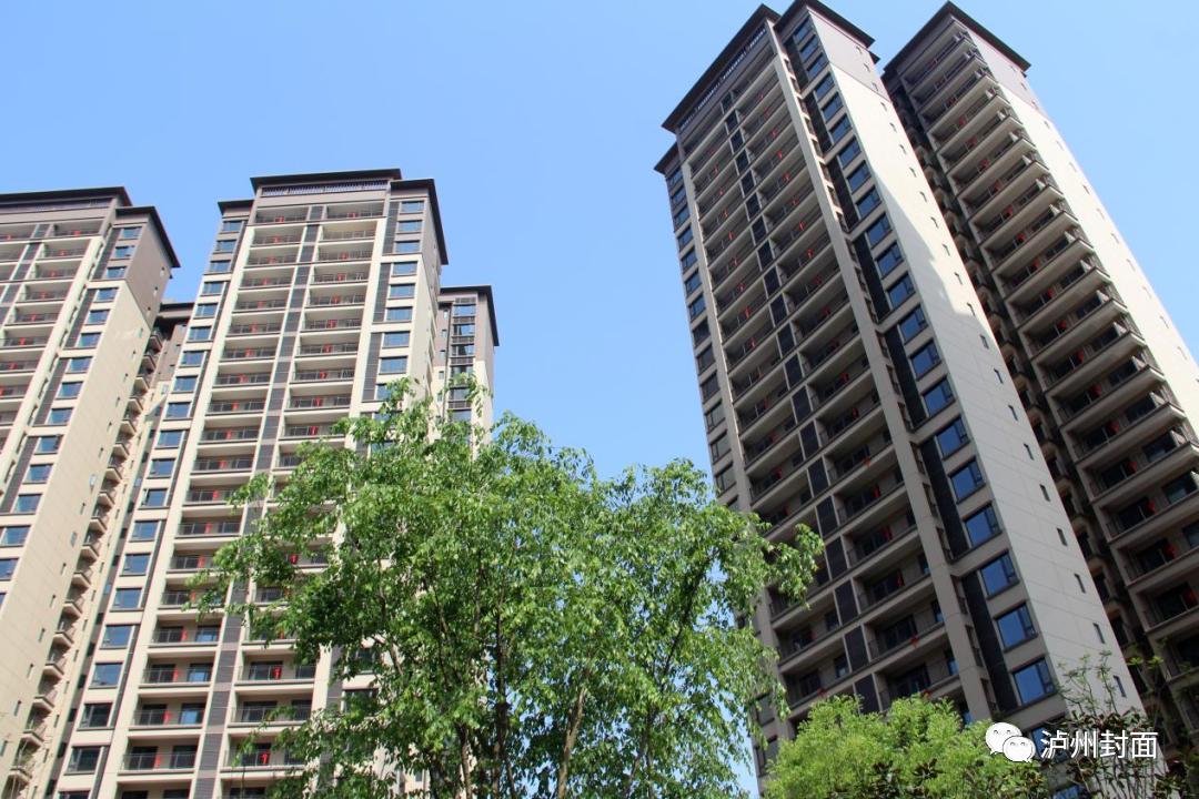 泸州元月份销量,泸州年销售数据