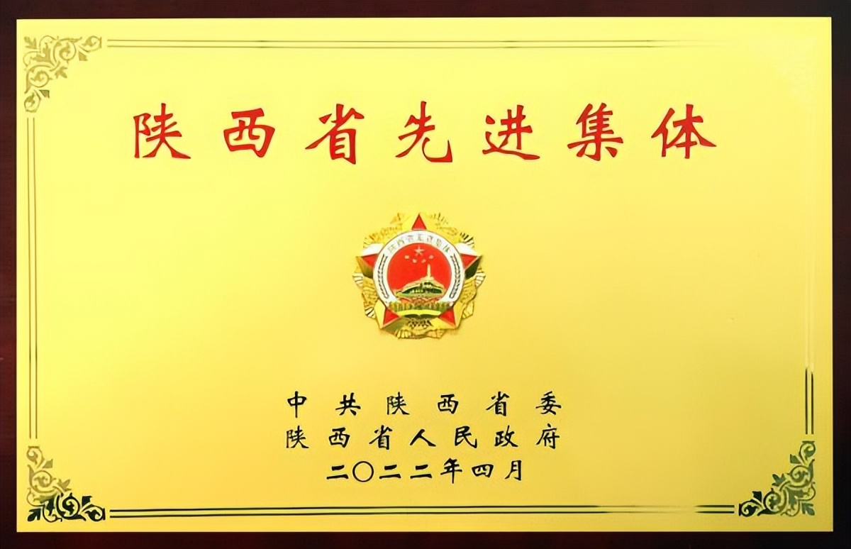 陕建十一建企业发展历史,陕建十一建集团是干啥的