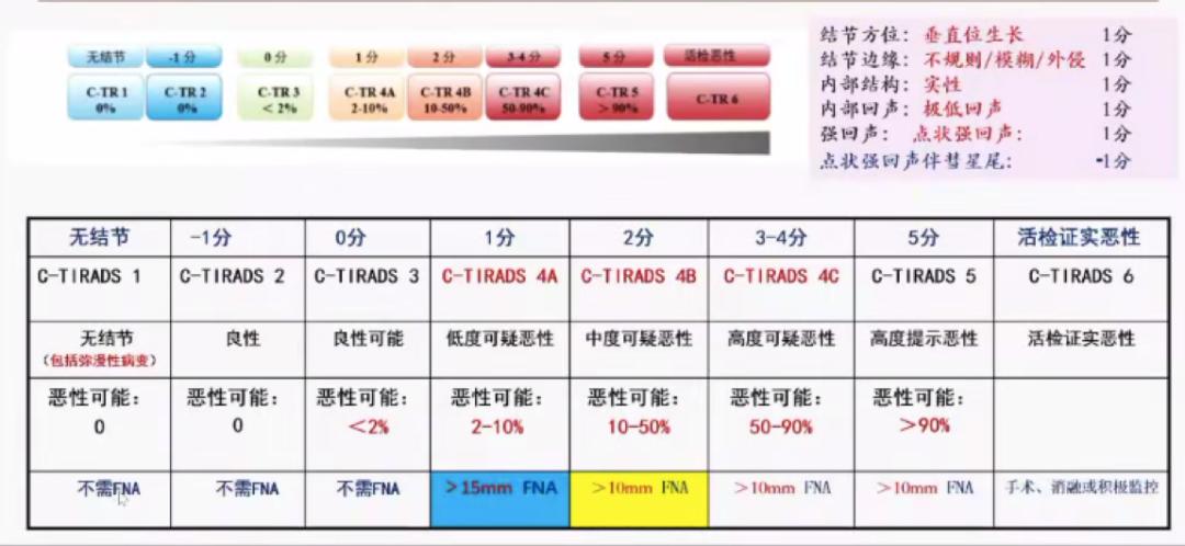 甲状腺炎超声报告单图片,怎样读懂甲状腺功能检查的报告单
