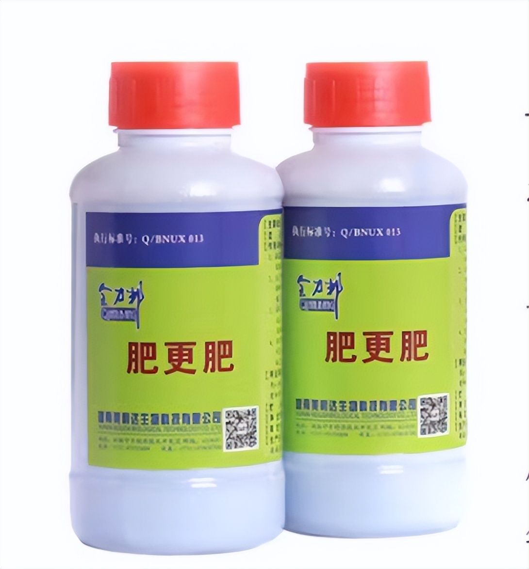 如何让池塘倒藻,池塘倒藻现象