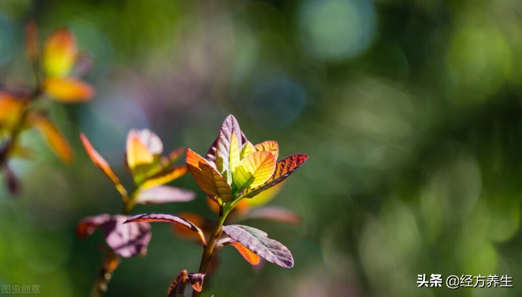治病过程记录,治病是个长期过程