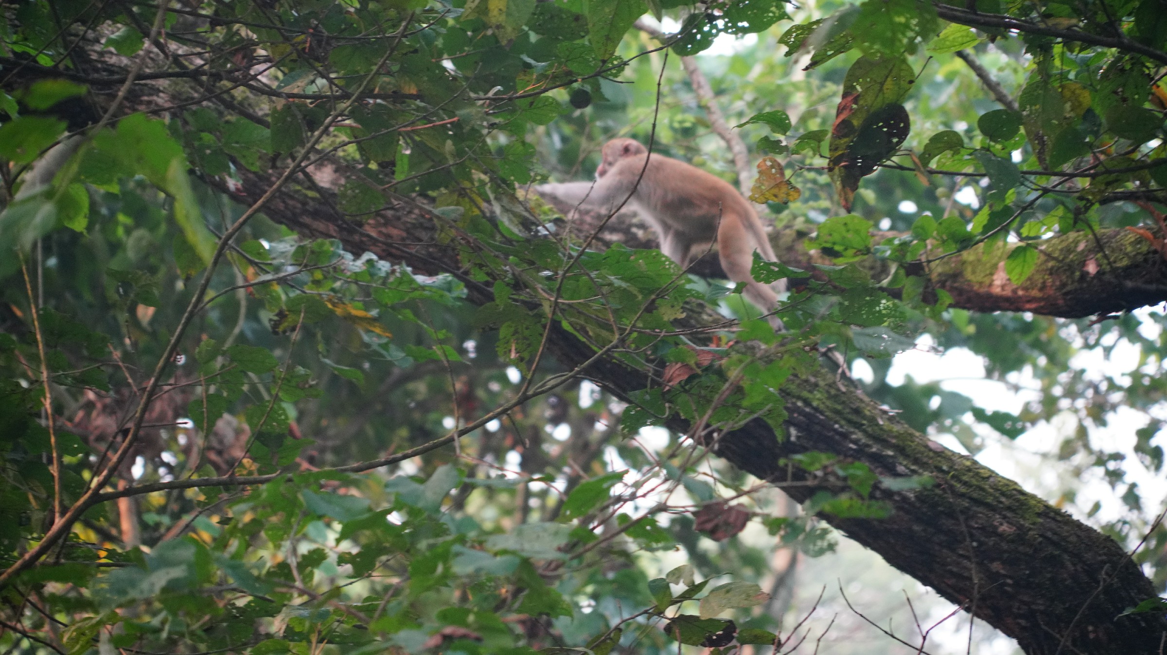 云中鹤游学,云中鹤户外