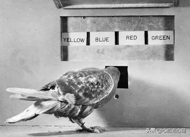 烧香拜佛不一定是迷信,迷信烧香拜佛