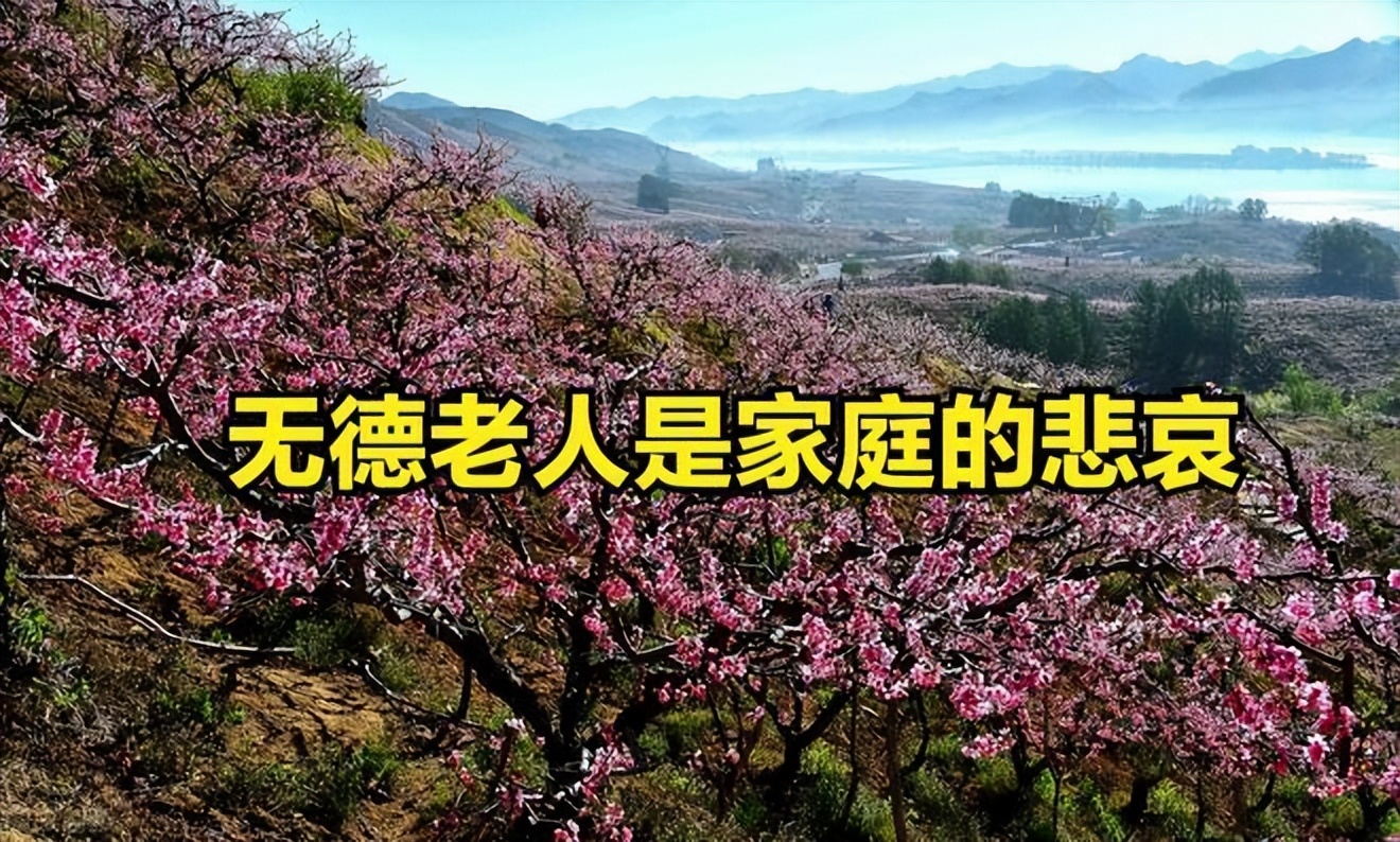 无德老人霸占房子,无德老人霸占子女房产