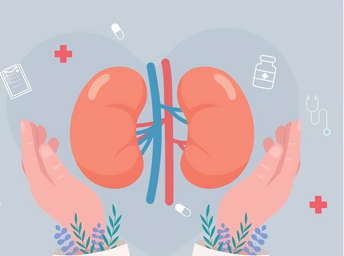 慢性病造成的肾脏伤害怎么治疗,自身免疫性疾病会引起哪些病