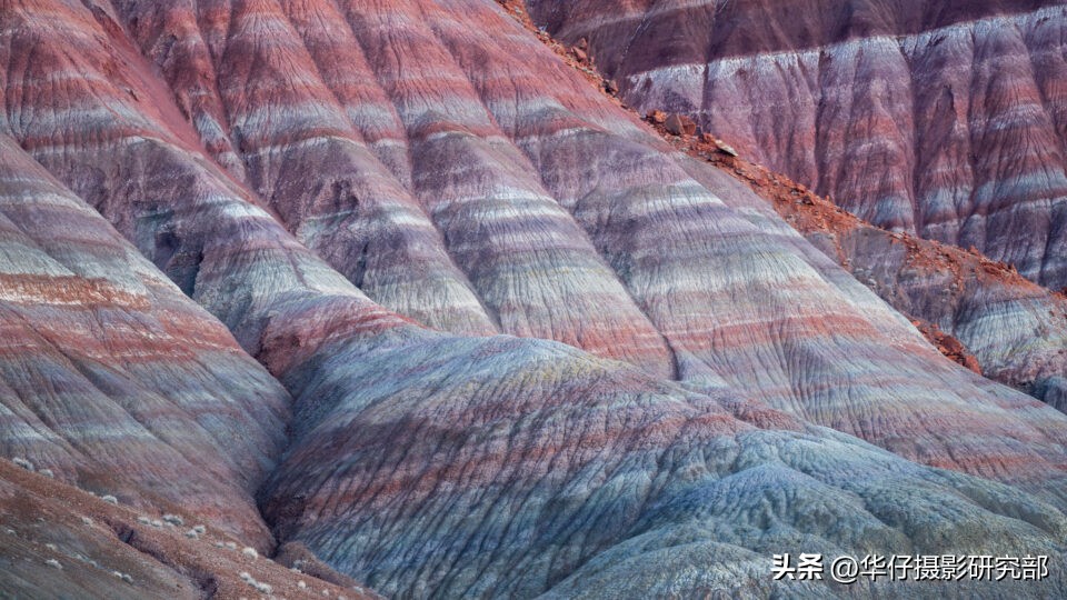 尼康z9详细视频评测,尼康z9全方位测评