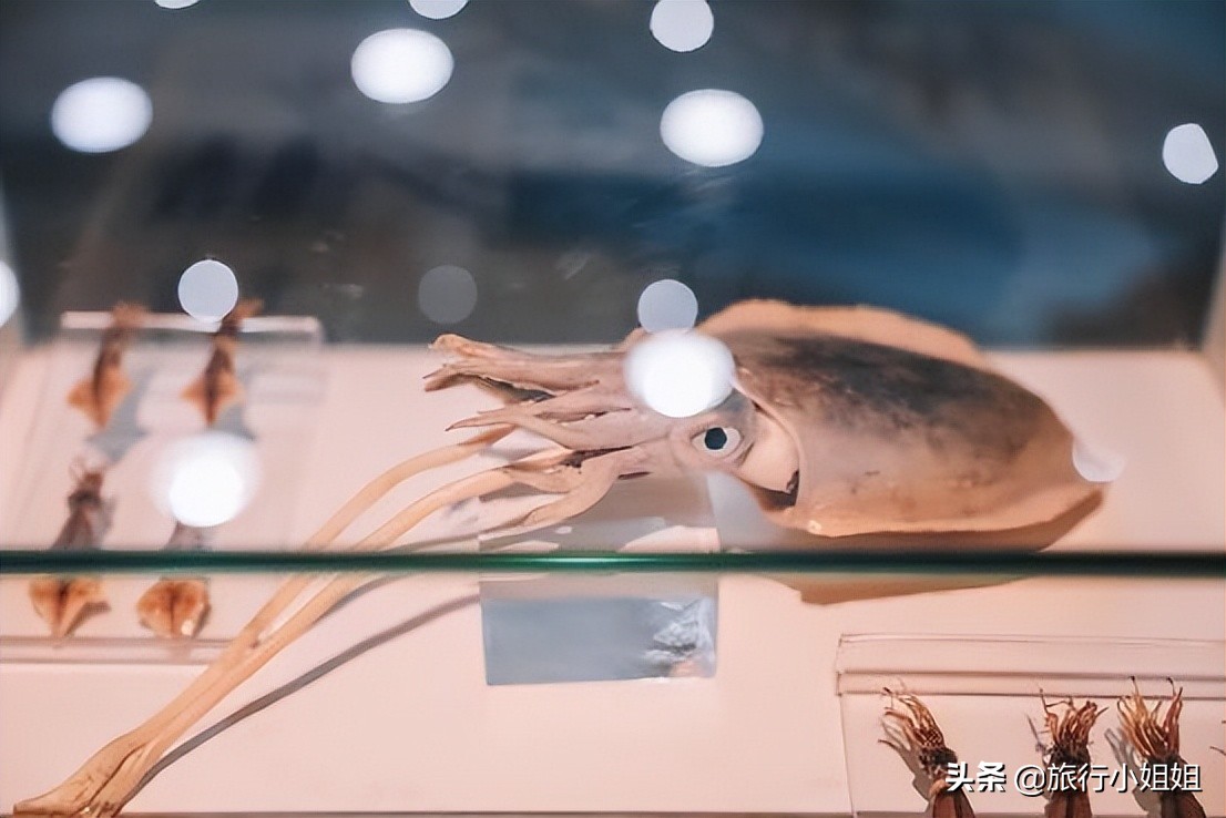 夏日海边微醺氛围感,滨城风光秀丽浪漫气息爆表