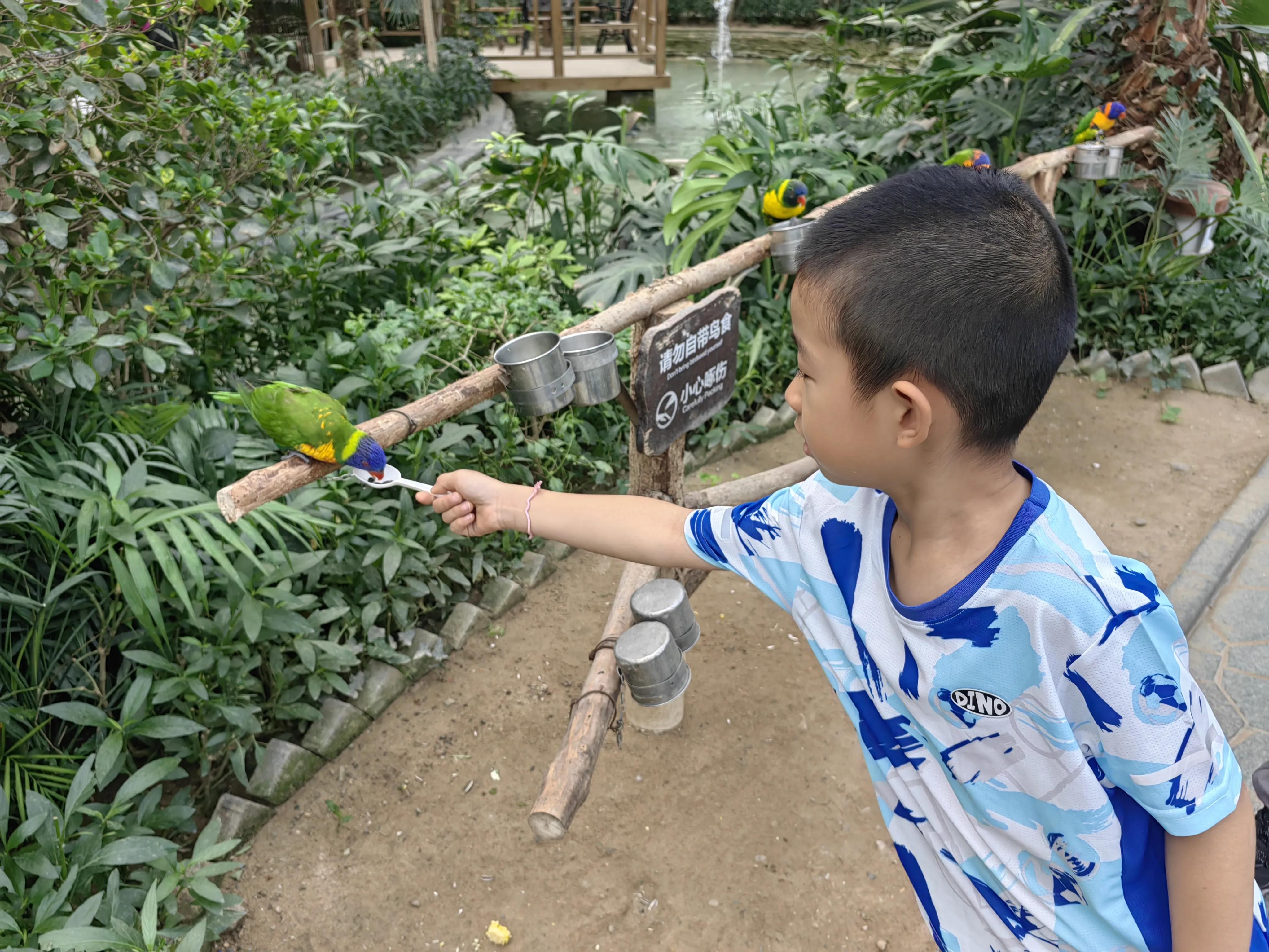 北京南宫五洲植物乐园测评,北京南宫五洲植物乐园视频