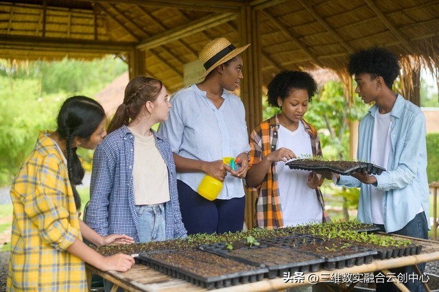 农业发展重点突破,农业创新发展模式