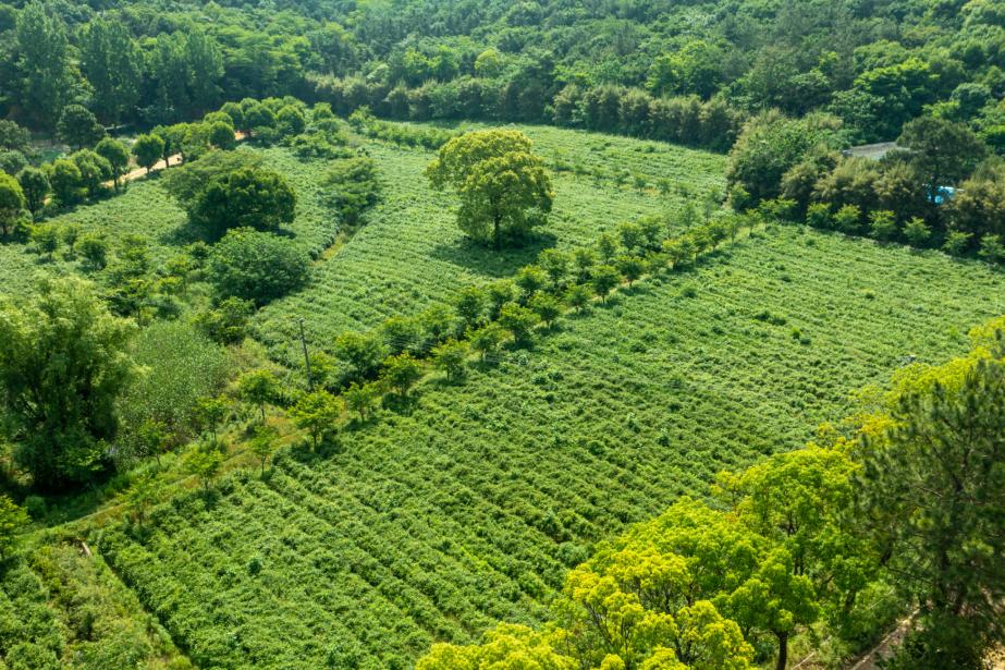 惠山区最新多处规划,惠山区最新规划地块