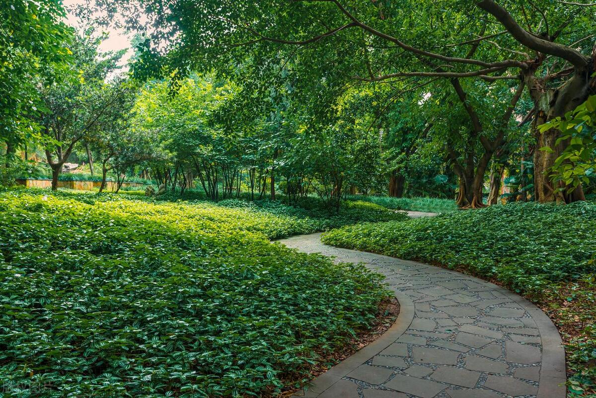 园林绿化养护一般包含哪些内容,园林绿化属于什么经费