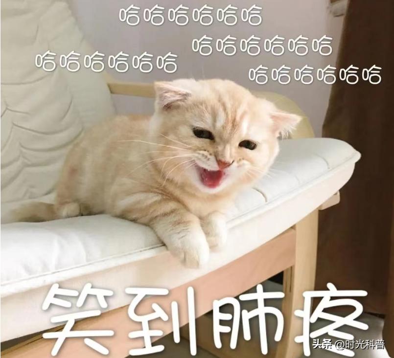 开心搞笑治愈的故事,搞笑治愈故事