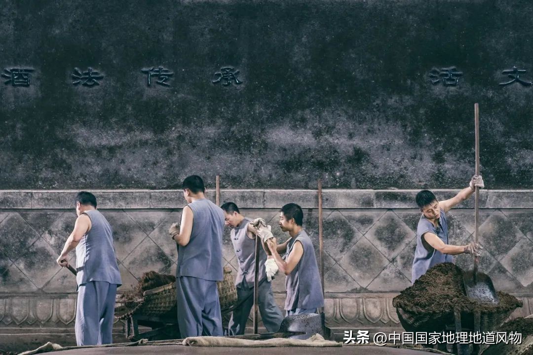 红高粱里的酒为什么是红的,红高粱里酒怎么是红的