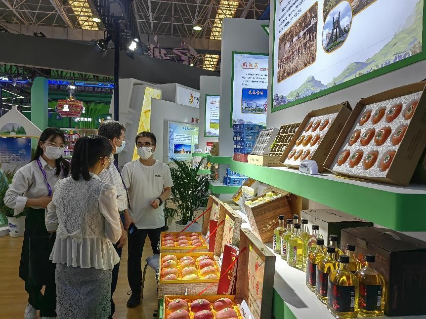 从乡村振兴看中国式现代化,从乡村振兴看新型农村发展