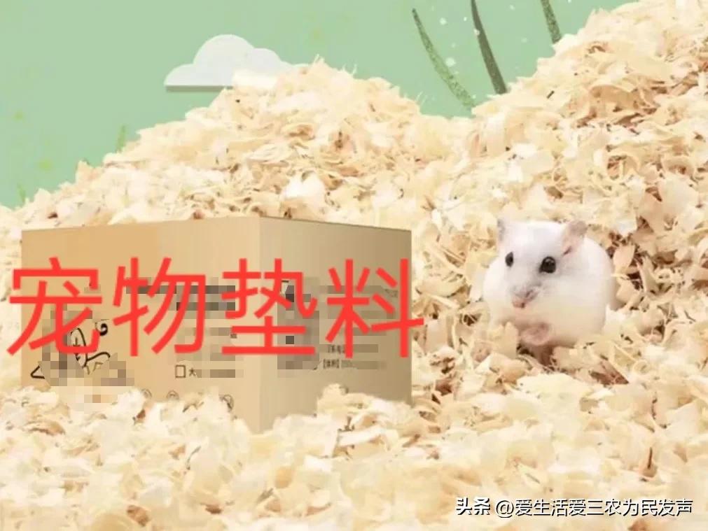 适合穷人的小本赚钱项目,适合穷人的18个创业项目农村投资