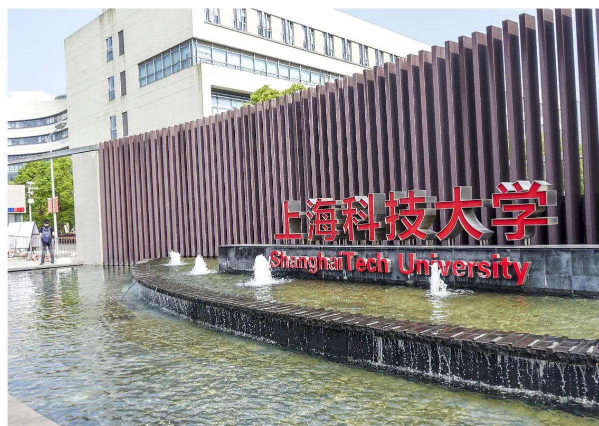 上海的大学有哪些是211或985大学,上海大学有几所属于211和985