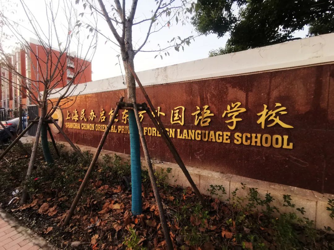 唐镇值不值得去,唐镇能买吗