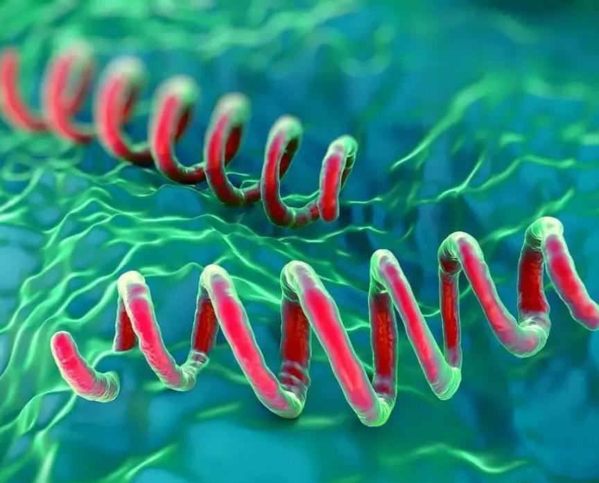 安全套的油有害的吗,安全套的油对人体有什么害处吗