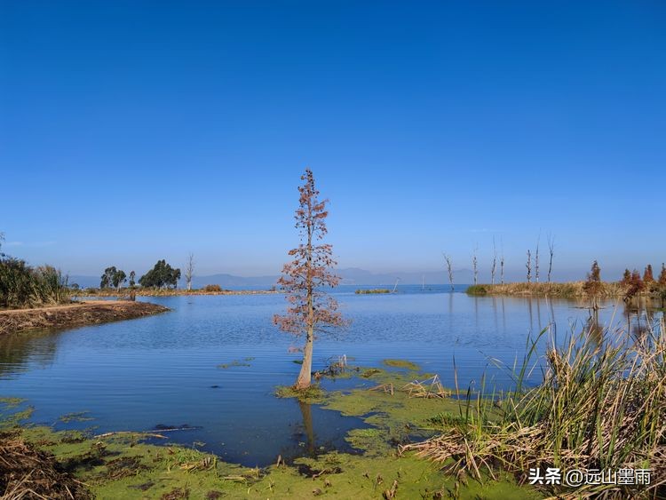 云南昆明滇池小渔村展新颜,滇池边的小渔村