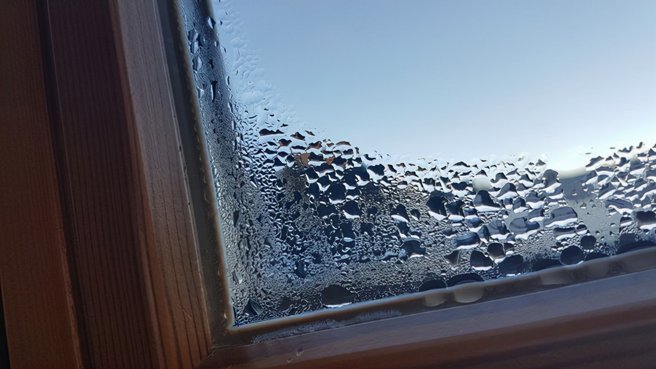 饭盒的密封圈有霉菌怎么洗干净,密封圈有霉菌怎么去除