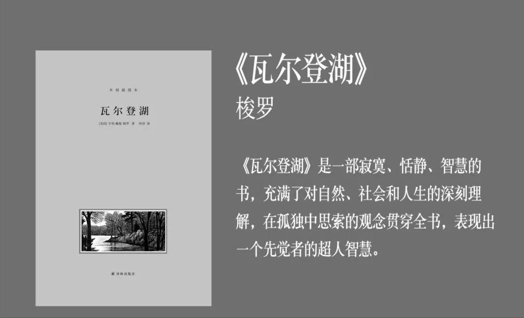 适合成年人看的治愈书籍,最治愈的10本书推荐