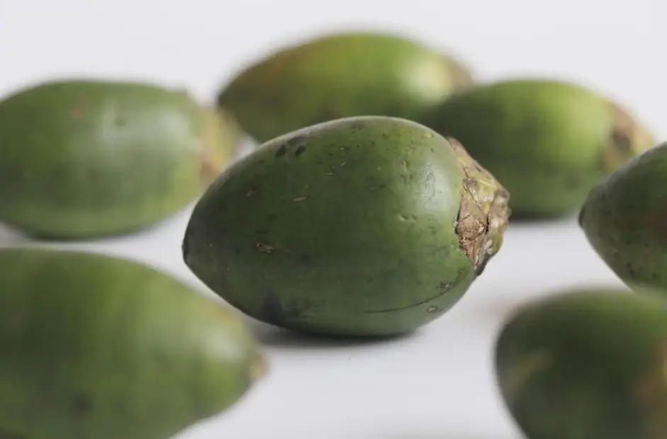 杀青的意思你知道几个？——2020上海师范大学MTI翻译硕士真题