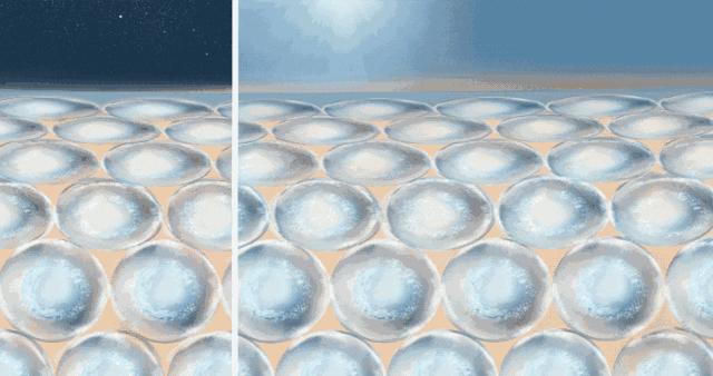 雅诗兰黛抗衰好还是兰蔻抗衰好,兰蔻和雅诗兰黛护肤品哪个抗衰好