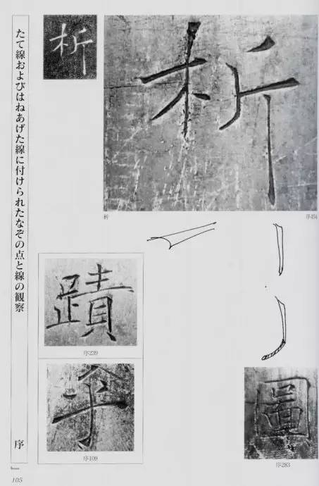 宸ョ瑪鐢绘潹鏅箟鐢诲唽,鏉滈箖鏉ㄦ櫘涔夊畬鏁寸増