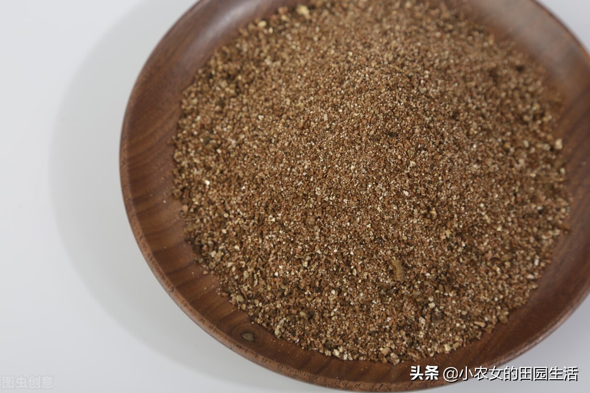 家庭种植生姜方法用什么桶,小家庭生姜种植方法