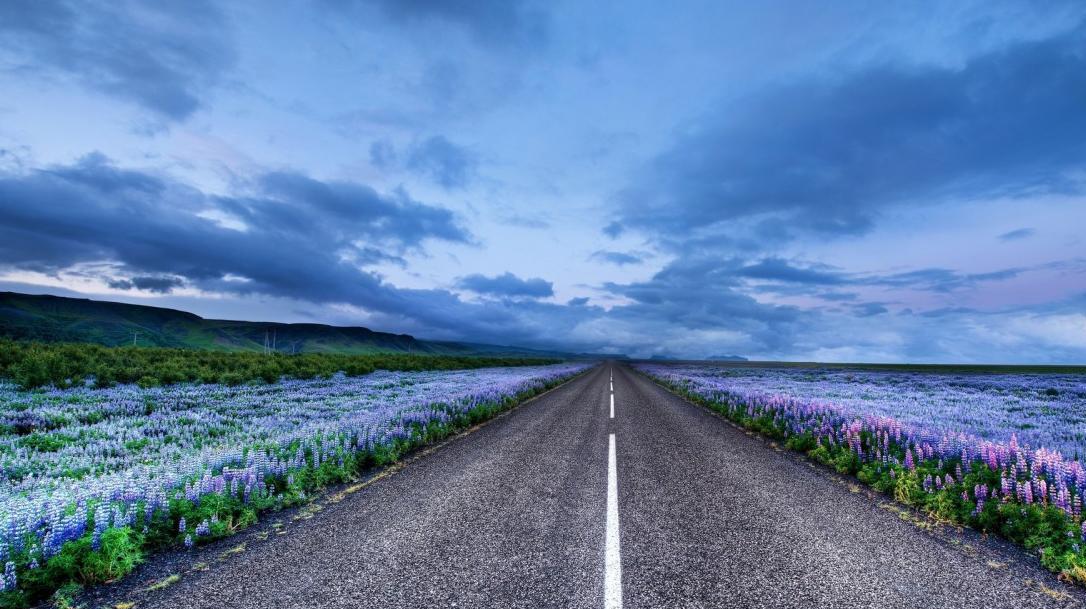 天生硬骨头不轻易低头的4大星座,这三个星座虽脾气暴躁人品却最好