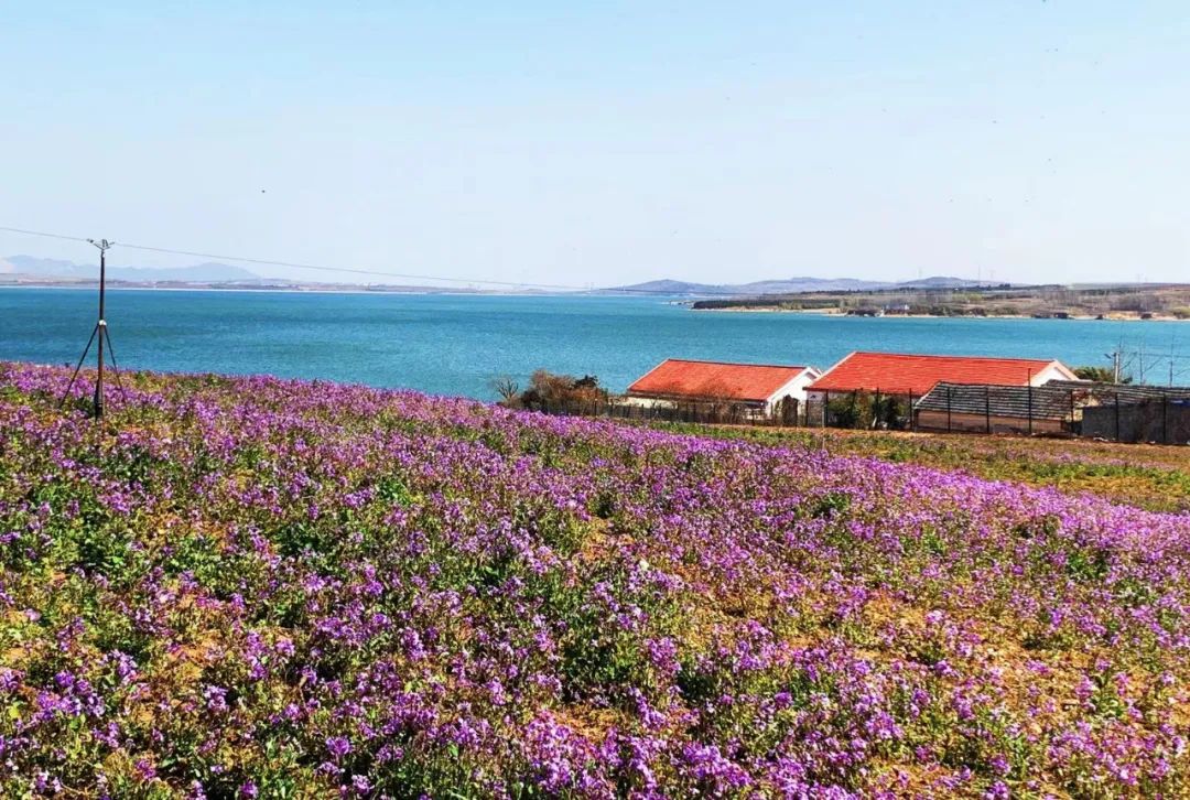 乡村振兴战略赋能十大模式和案例,乡村振兴产业振兴案例