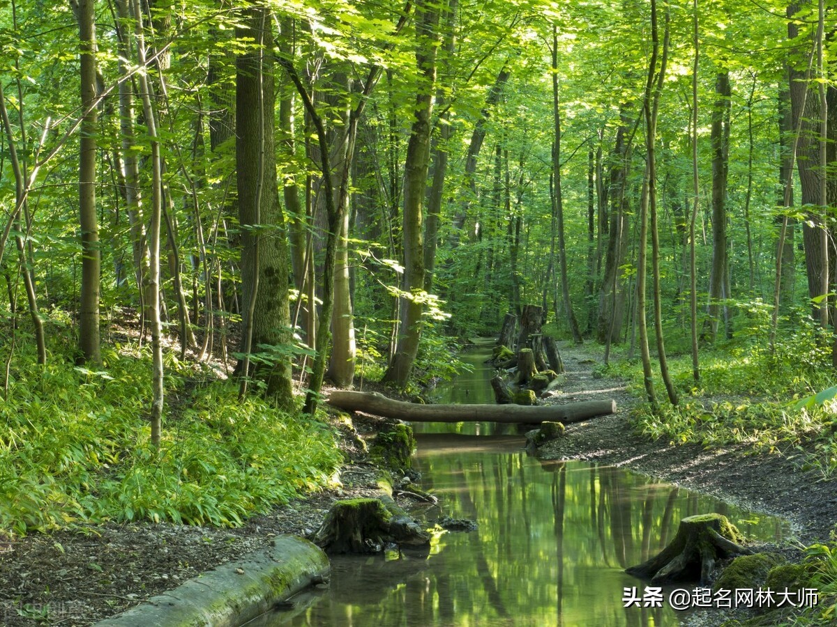 属虎女孩取名李屹山好吗,属虎有山有木取什么名字