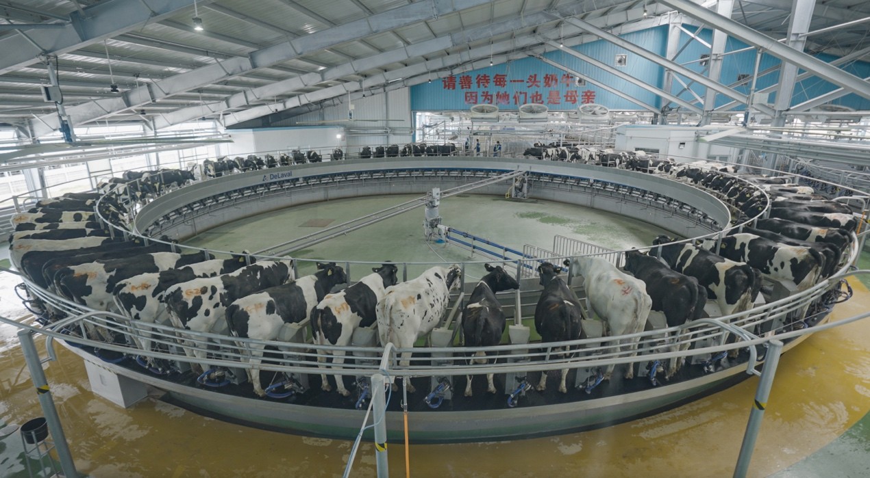 创业十几年心路历程,创业七年的终极经验