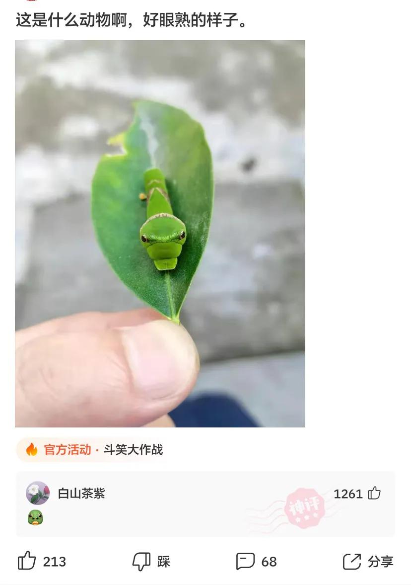 穿泳衣还可以穿内衣吗,穿泳衣和穿内衣有什么不同