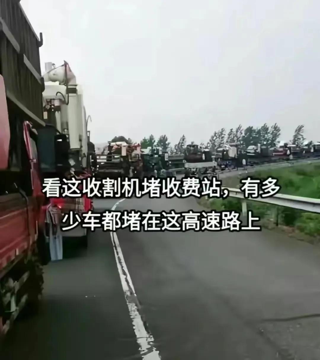 南阳新闻小麦丰收,河南南阳头条新闻热点