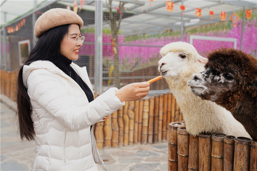 温州泰顺氡泉旅游攻略,泰顺旅游攻略三日自助游