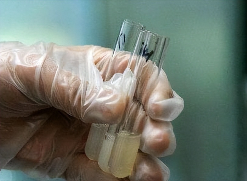 揭秘慈善背后的秘密,揭秘慈善的秘密