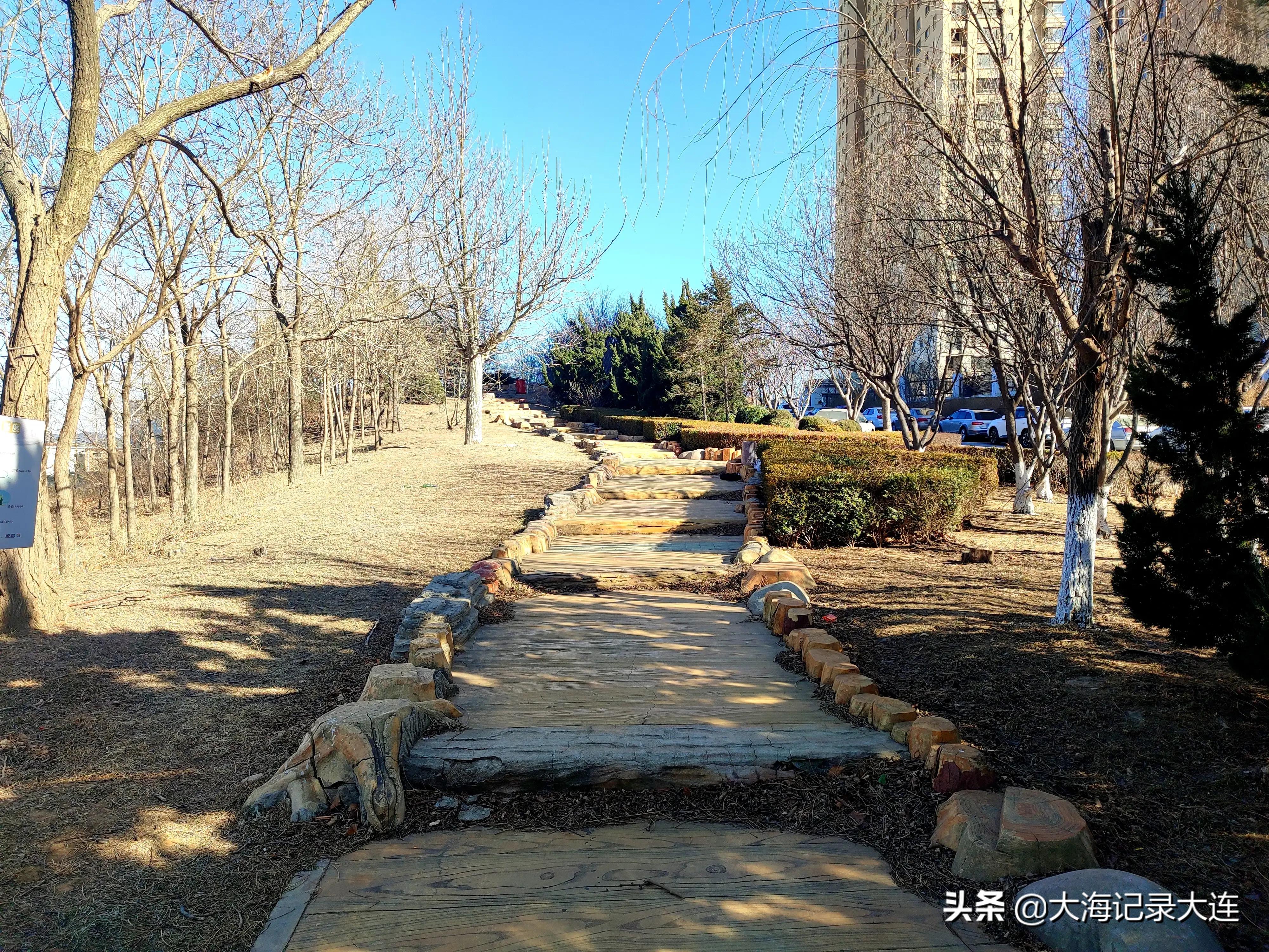 大连唯一以象棋博弈为主题的公园，投资260余万，就在旅顺开发区