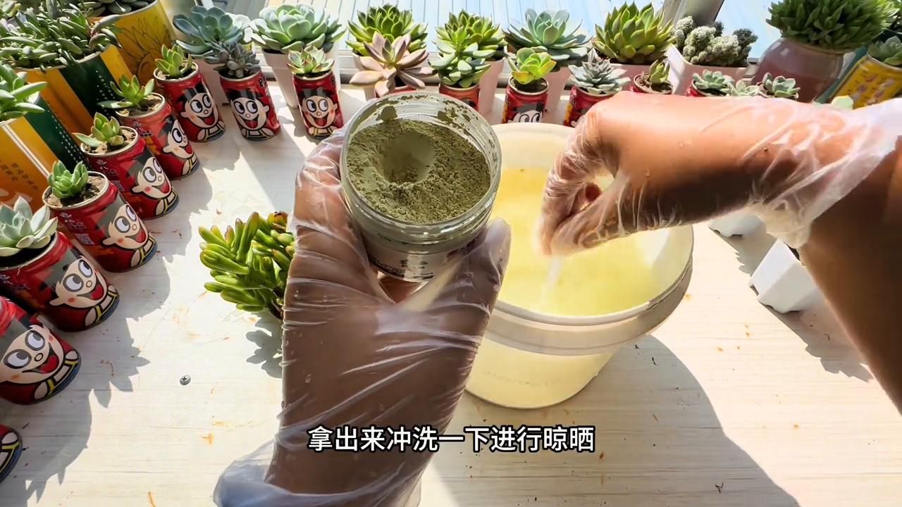 养招财猫也要注意什么,养了10多天的招财猫一直趴缸